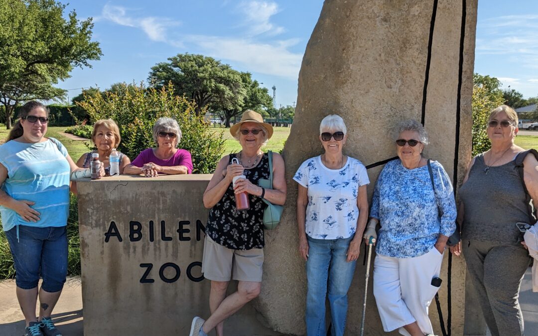 Anson Park Seniors