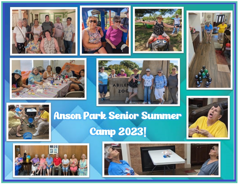 Anson Park Seniors